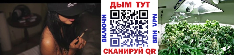 Наркошоп купить Псилоцибиновые грибы  Мефедрон  Кокаин  ГАШ  Канабис  Западная Двина