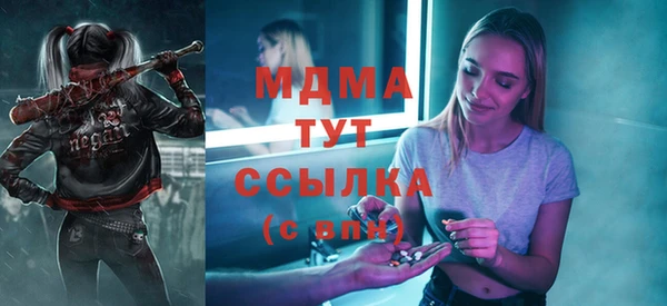 mix Инта
