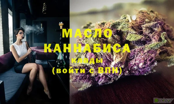 mix Инта