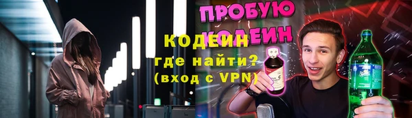 mix Инта