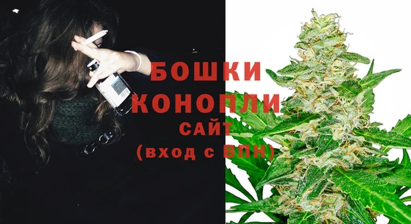 mix Инта