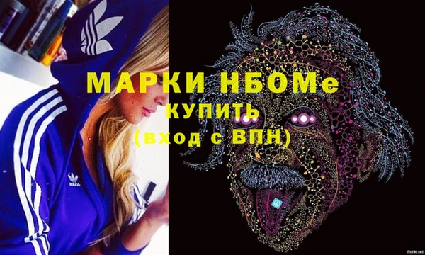 mix Инта