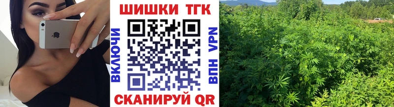 Бошки марихуана гибрид  Купить закладки  Западная Двина 